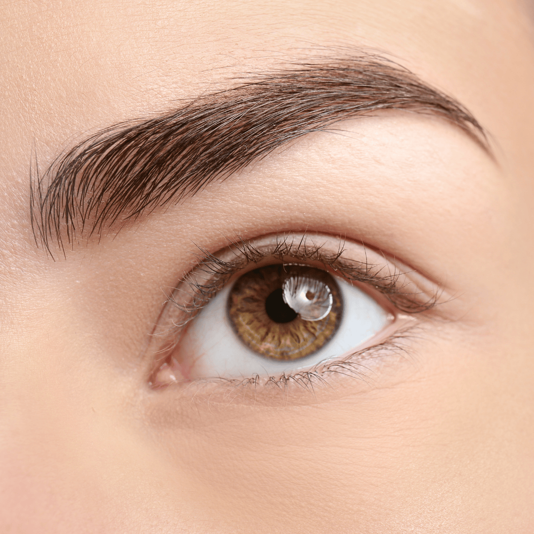 sourcils image